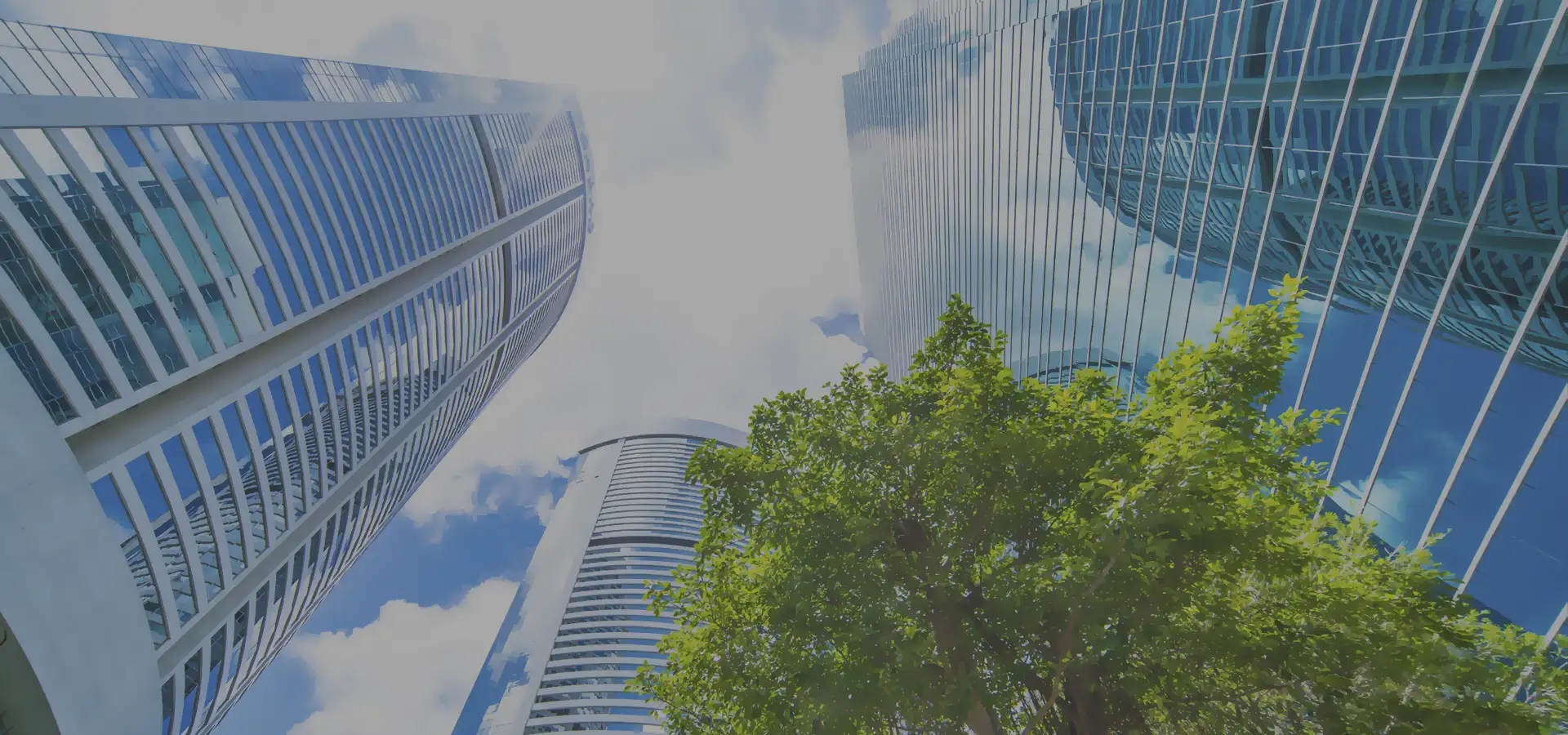 Como compensar a pegada de carbono nas empresas