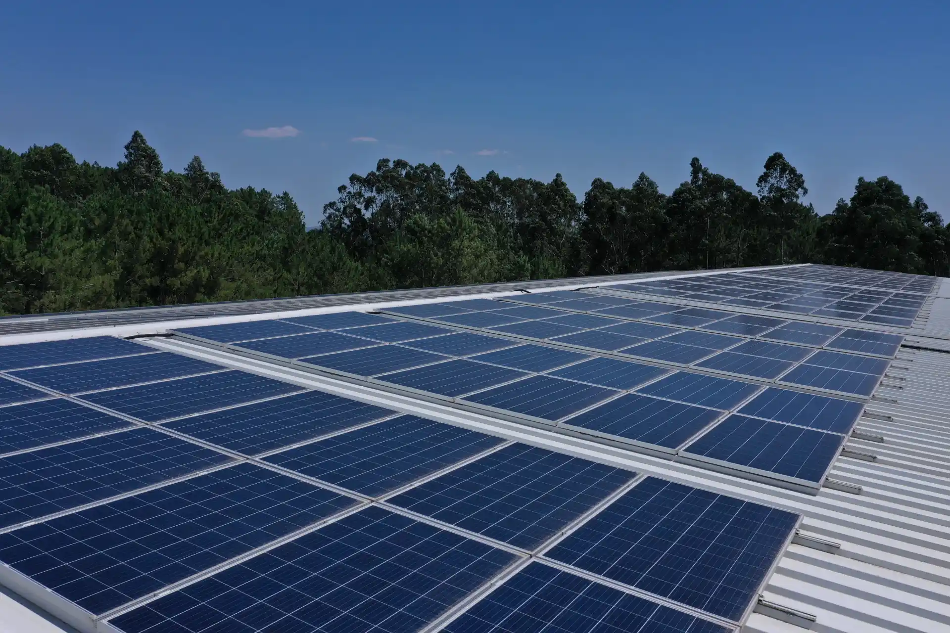 Venda de excedentes de energia solar