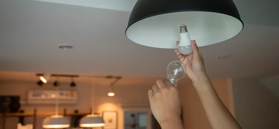 Reciclar lâmpadas: tudo o que deve saber