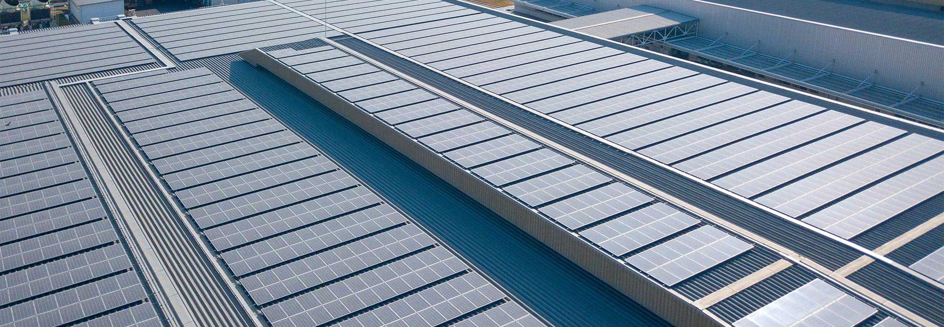 <span>Painéis Solares: escolha ideal para empresas</span>