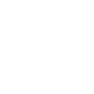 EDP Selo Novidade
