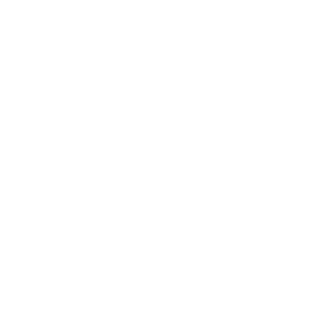 Seal Porpessoa 4 50