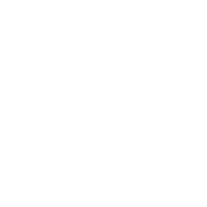 Seal Poupe 10