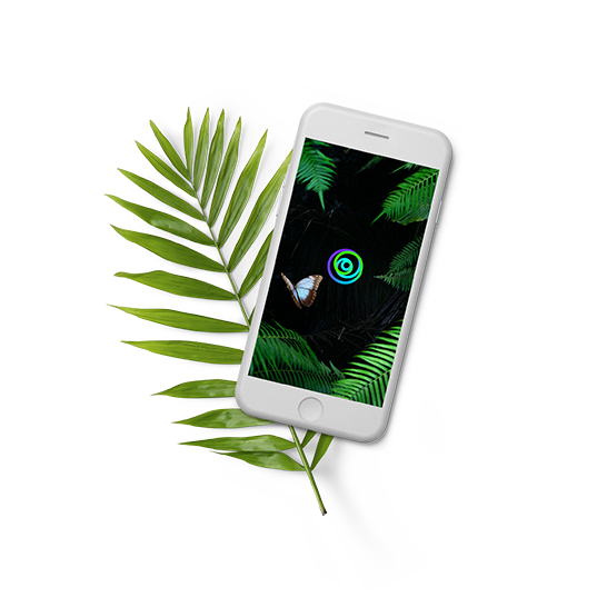 App EDP