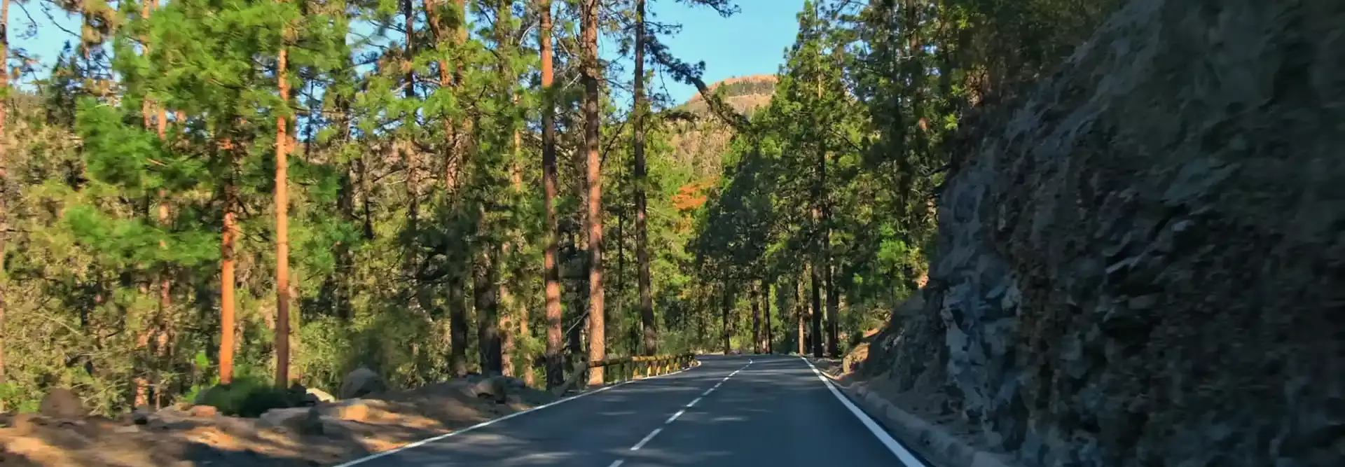 Estrada pela floresta