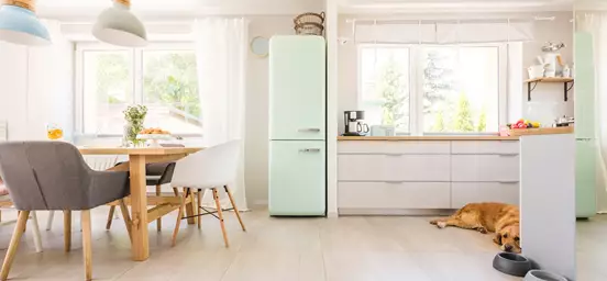 Cozinha com muita luz natural tem frigorifico verde água e cão deitado do lado direito