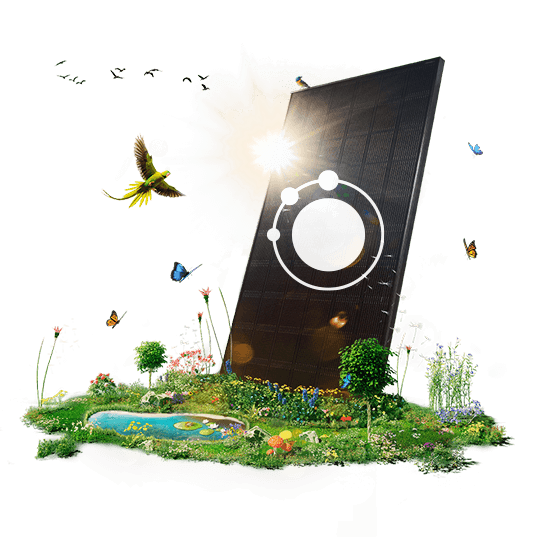 App EDP Solar para clientes com Energia Solar