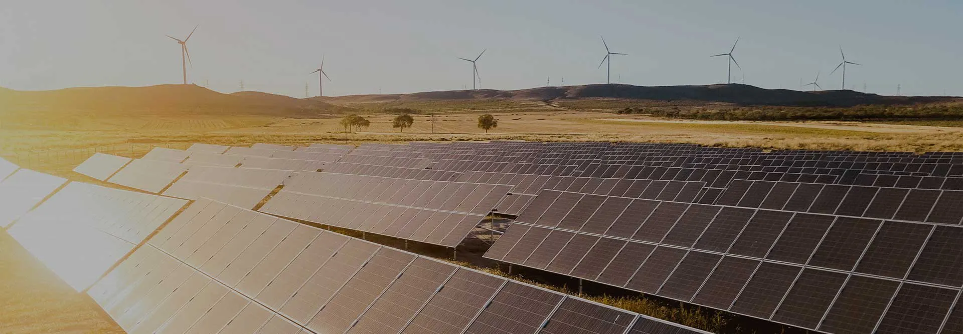 Parque com painéis solares