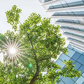 Torne a sua empresa um exemplo de sustentabilidade